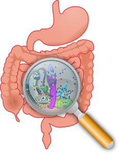 anatomy, bacteria, bacterium-160524.jpg