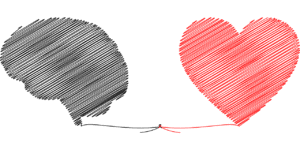 brain, heart, mind-5371476.jpg