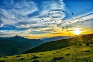 clouds, atmosphere, great-5060801.jpg