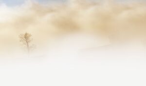 Food Induced Brain Fog