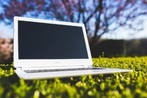 Screen Free Day