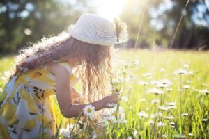 picking flowers, daisies, child-2432972.jpg