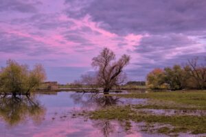 sunset, flood, trees-6468565.jpg