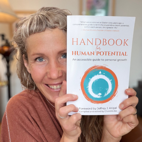 Handbook for Human Potential book: guide to embodying values and healing generational patterns by Chandra Zas